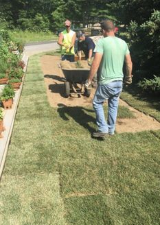 workers laying down sod